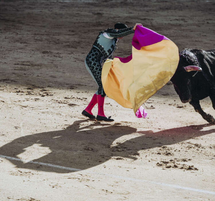 Spanish bullfight. The enraged bull attacks the bullfighter Spanish bullfight. The enraged bull attacks the bullfighter